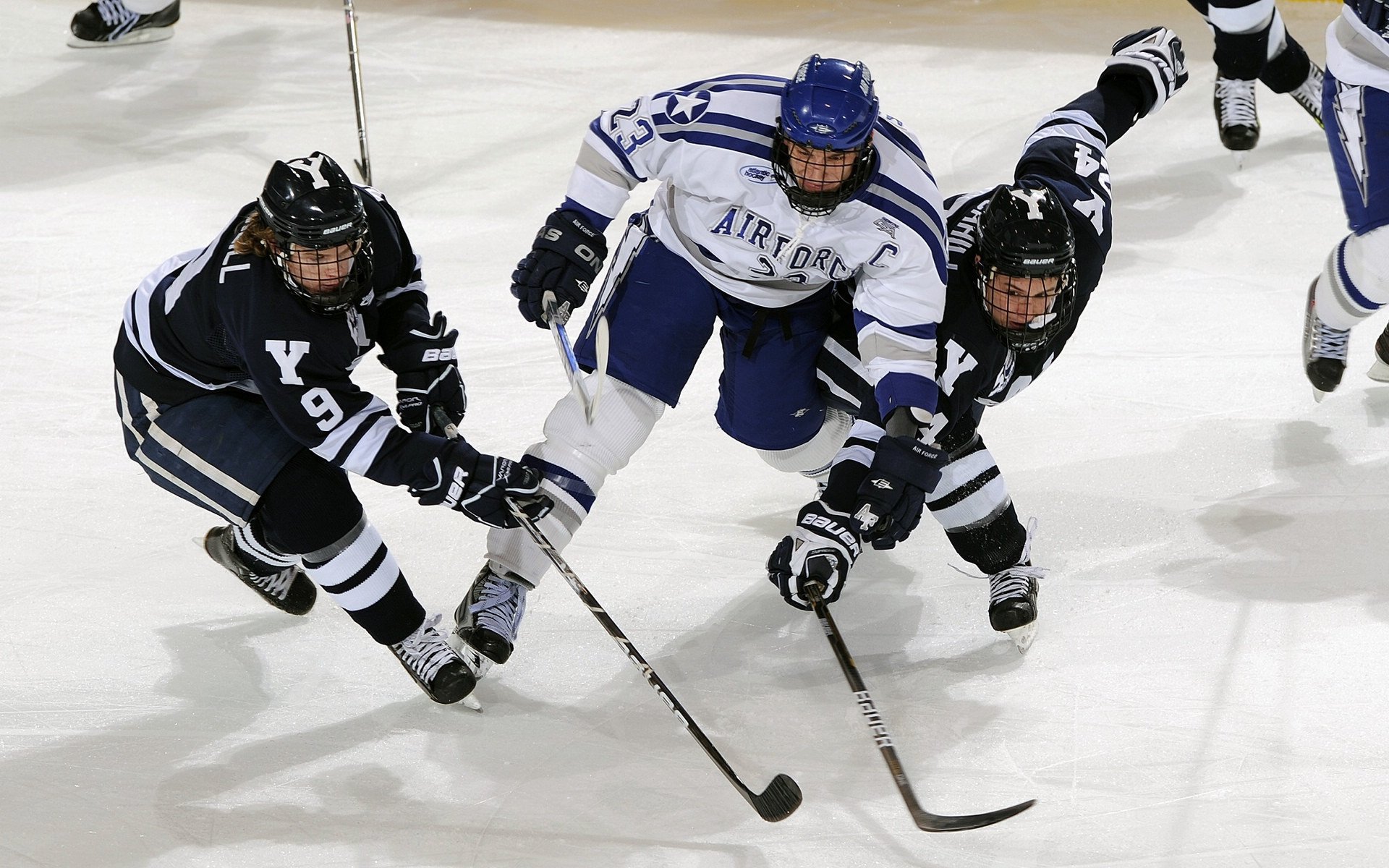高校运动训练数据采集与分析系统研究,2021年全国高等学校运动训练